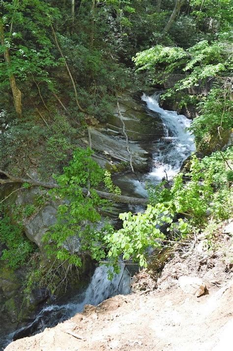Catawba Falls Pisgah National Forest Carolina Outdoors Guide