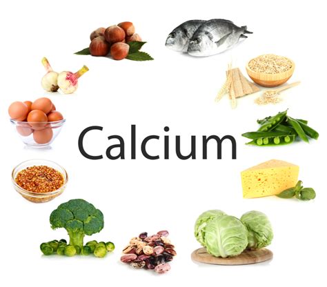 Foods that build collagen elastin. 11 Foods High in Calcium - AlrightNow