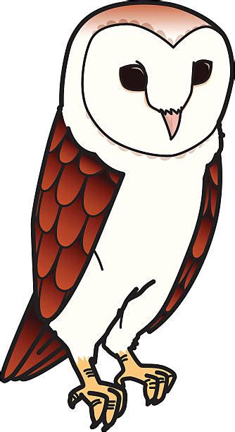 Best Barn Owl Illustrations Royalty Free Vector Graphics And Clip Art