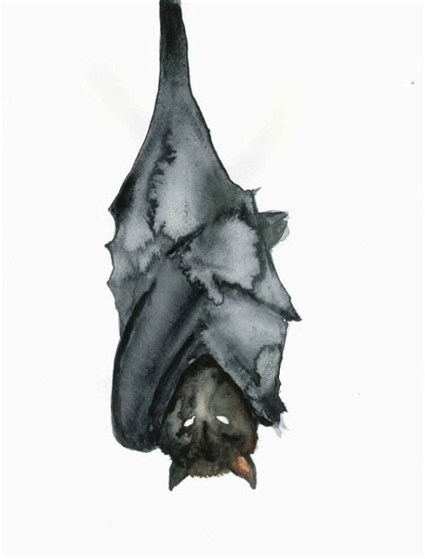 Bat Illustration Of Size 912 Inches Original Watercolor Painting Of