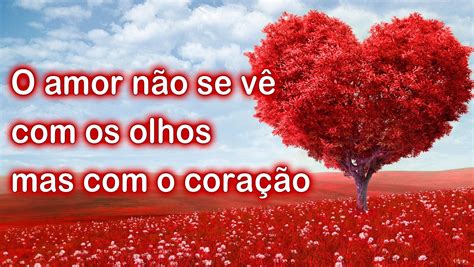 Imagens Frase De Amor