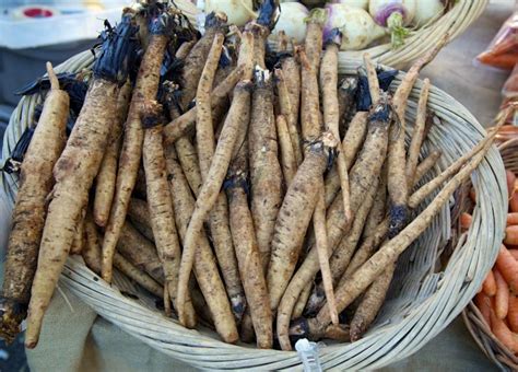 Are You Eating This Healing Root Andrea Beaman