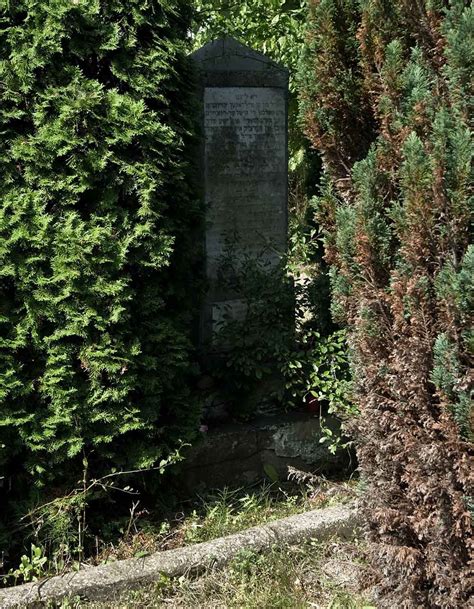 New Jewish Cemetery Skierniewice Skierniewice