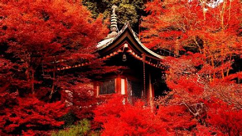 Autumn Kyoto Wallpapers Wallpaper Cave