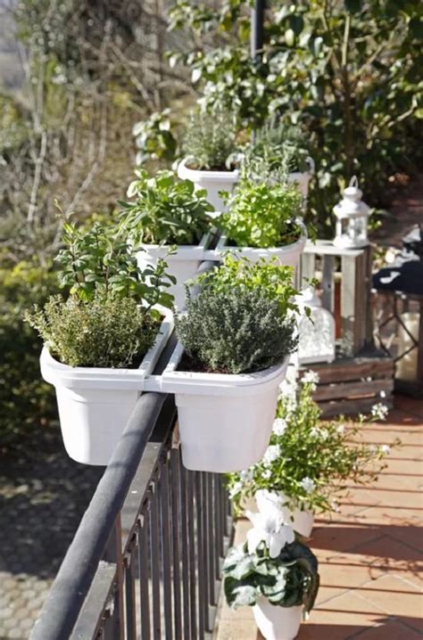Maybe you would like to learn more about one of these? 20+ DIY Railing Planter Ideas For Balcony Gardeners ...