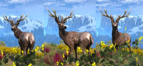 New game plus was introduced in a free update earlier today on xbox one and pc. One of many - Deer - at The Witcher 3 Nexus - Mods and ...