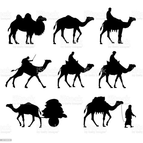 Vector Silhouettes Of Camels Stock Illustration Download Image Now