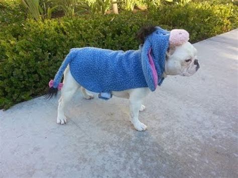 As hallowen is approacing , i presnt you this video of some adorable french bulldogs in their costumes. French bulldog Halloween (Eeyore costume) - YouTube