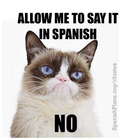 Cat In Spanish Spanish Jokes Funny Spanish Memes Funny Memes Learn