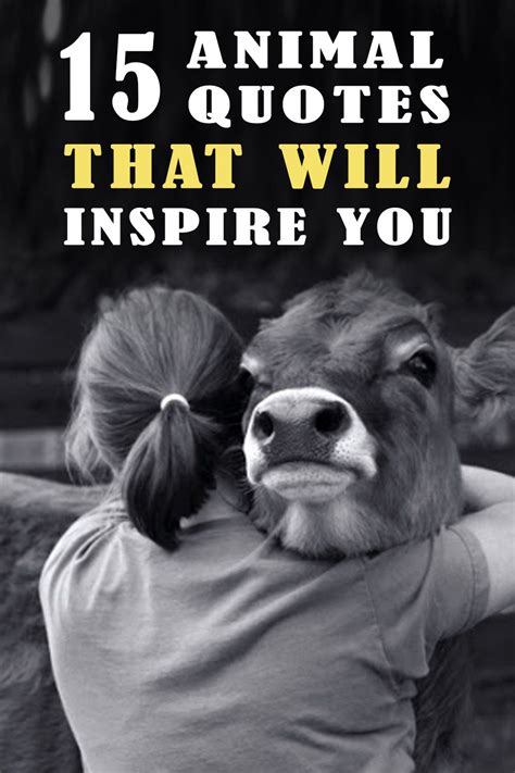 15 Animal Quotes That Will Inspire You Animal Love Quotes Animal