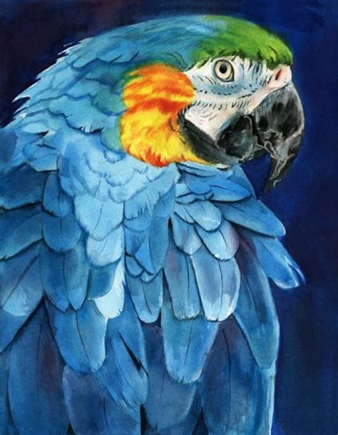 Macaw Parrot Art Print Of My Watercolor Painting Mac Etsy