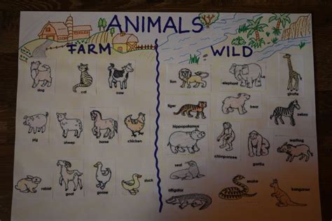 Farm And Wild Animals Anchor Chart Animals Wild Animal Theme Animals