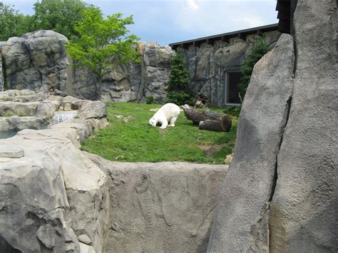 Chicagos Brookfield Zoo Brookfield Illinois Saturday J Flickr