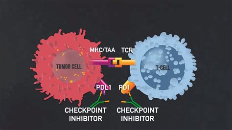 Introduction To Immunotherapy Immunotherapy Documentary Part I Youtube