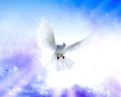 Holy Spirit Dove R Catholic Picture Print Etsy
