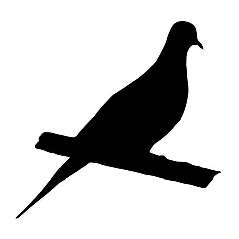 Dove Outline Drawing At Getdrawings Free Download