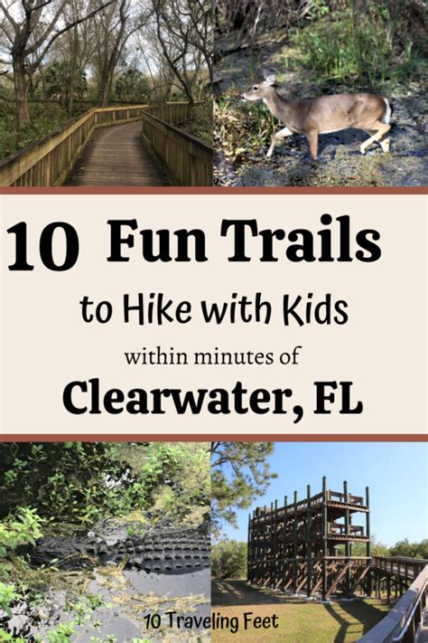 10 Fun Trails To Hike In Pinellas County Fl With Kids 10 Traveling Feet