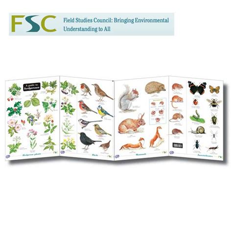 Fsc Fold Out Chart Hedgerows Tamarack Outdoors
