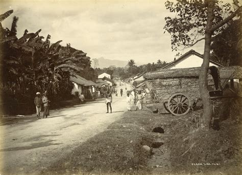 17 Extremely Rare Photos Capture Everyday Life Of Ceylon Sri Lanka In
