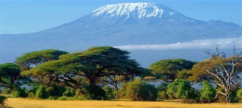 Amboseli National Park Safaris Tours And Holiday Packages Discover