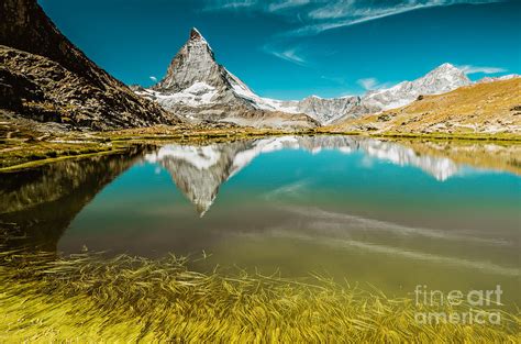 Mountain Matterhorn And Riffelsee With Grass Photograph By Olga