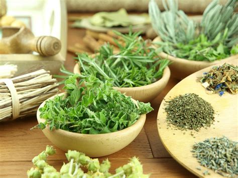 The 6 Best Herbs And Supplements For Boosting Sex Drive
