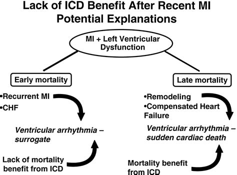 Mechanisms of Sudden Cardiac Death in Myocardial Infarction Survivors | Circulation