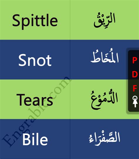 Learn 1000 Common Arabic Words And Their Meanings In English For Speaking English Vocabulary