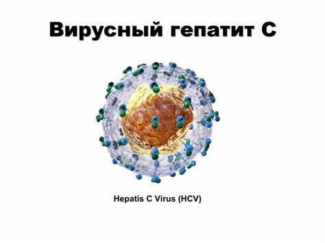 Вирусный гепатит а диета 5 Вирусный гепатит А. Вирусный гепатит В. Вирусный гепатит С Вирусный гепатит А. Вирусный гепатит В. Вирусный гепатит С Вирусный гепатит а диета 5