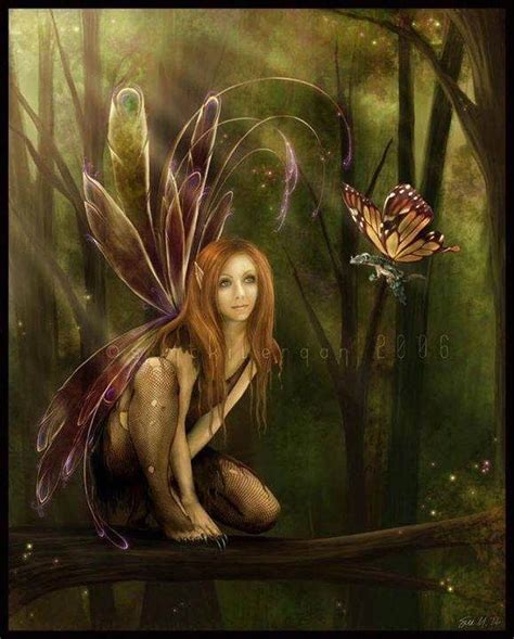 Photo Fantasy Fairy Fairy Artwork Pixies Fairies