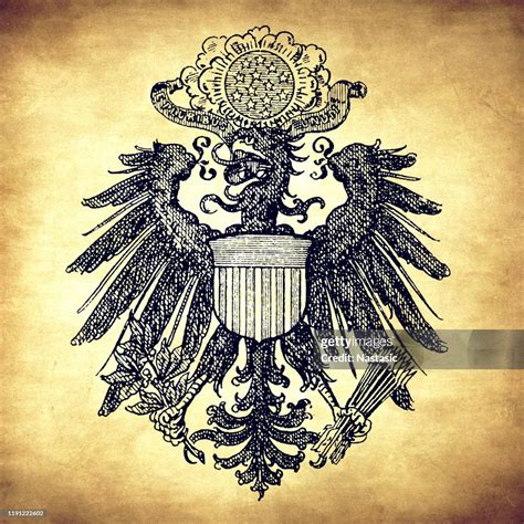 Heraldry Coat Of Arms Of The United States Of America High Res Vector