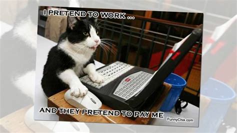 18 Funny Cat Memes About Work Factory Memes