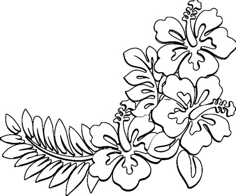 74 Hibiscus Printable Coloring Pages Fieltros Patiki