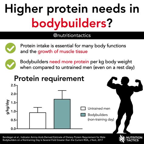 Higher Protein Needs In Bodybuilders Per M Nutrition