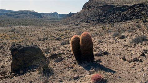 5 Of Earths Highest Deserts Howstuffworks