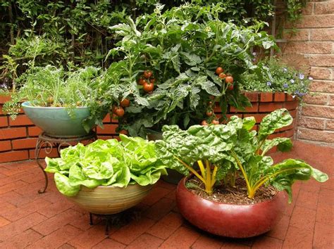 Flower Pot Vegetable Garden Ideas Elprevaricadorpopular