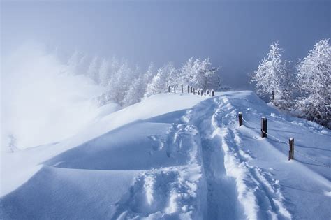 Winter Seasons Snow Nature Landscape Wallpapers Hd Desktop And
