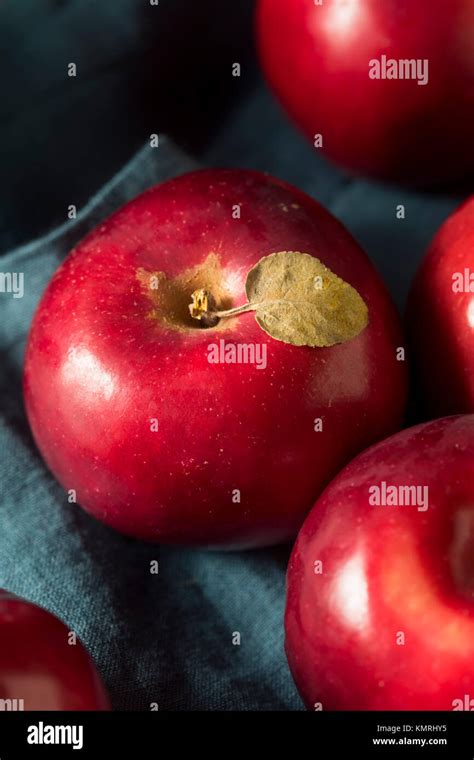 Red Organic Macintosh Apples Ready To Eat Stock Photo Alamy