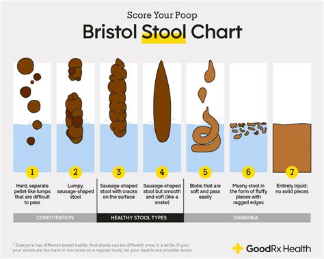 Bristol Stool Chart The 7 Different Types Of Poop Goodrx