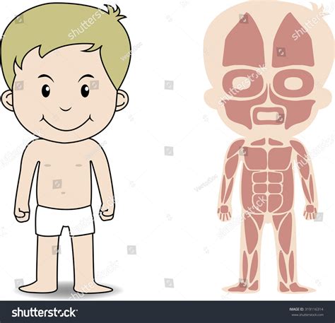 My Body Educational Anatomy Body Organ Stock Vector 319116314