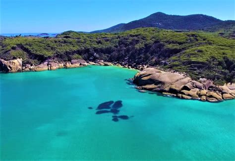 Wilsons Promontory National Park Insider Tipps And Highlights