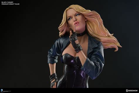 Pre Orders Up For New Sideshow Black Canary Premium Format Figure The Toyark News