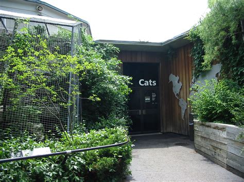 Cincinnati Zoo 2003 Entrance To The Famous Cat House Zoochat
