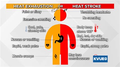 Heat Exhaustion Vs Stroke Symptoms Best Design Idea