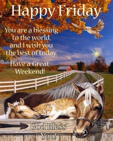 Horse And Kitten Happy Friday Quote Pictures Photos And Images For
