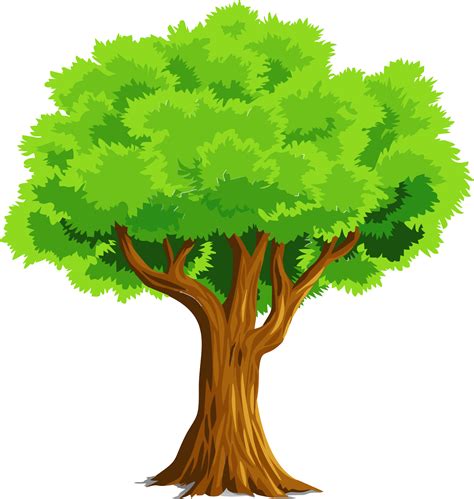 Tree Clipart Vector