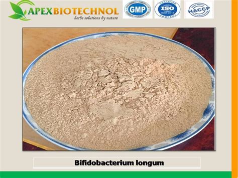 Bifidobacterium Longum Tradekorea