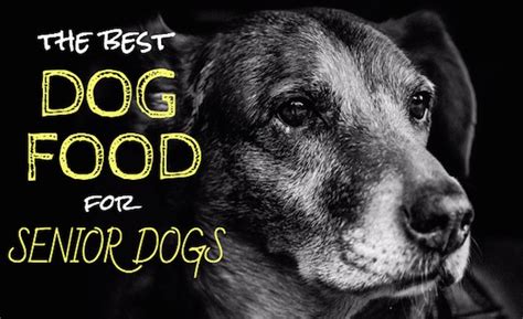 Isn't harmful on dental health. 6 Best Dog Food For Senior Dogs: Our Top Picks for Older ...