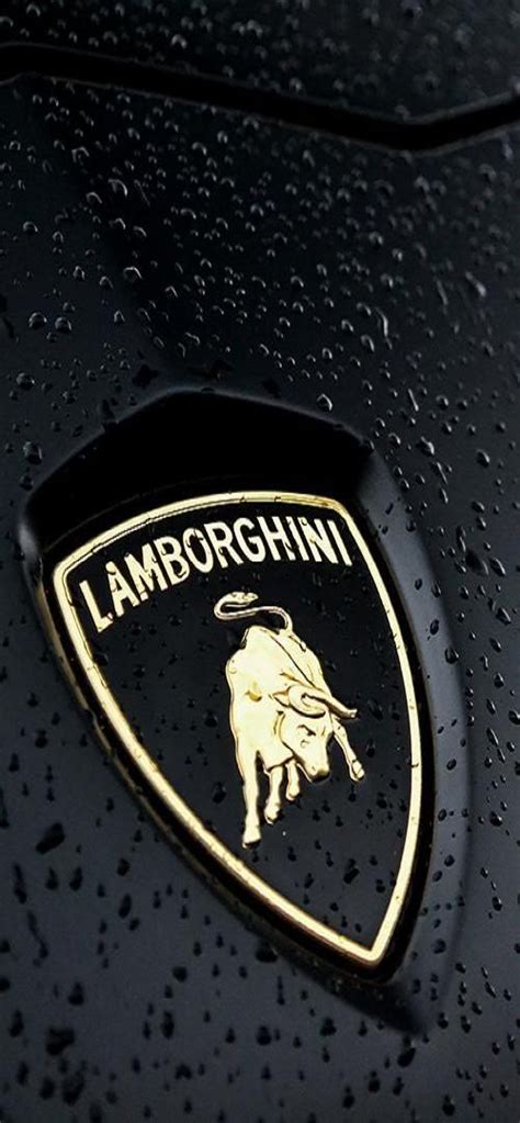 Lamborghini Fascinating Photo Lamborghini Cars Lamborghini Luxury