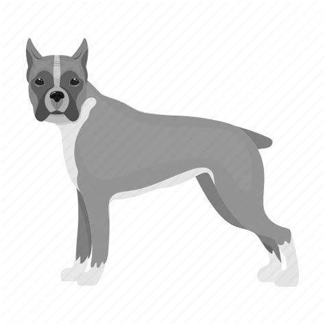 Animal Boxer Breed Dog Domestic Mammal Pet Icon Download On
